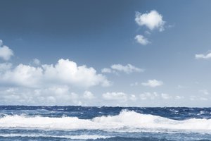 西烏珠穆沁旗農林有限責任公司